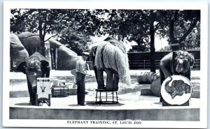 Postcard - Elephant Training, St. Louis Zoo - St. Louis, Missouri