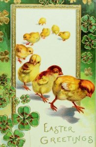 Circa 1910 Lovely Baby Chicks 4 Leaf Clovers Easter Greetings  Postcard P36