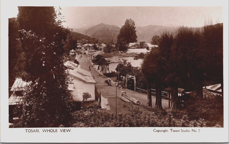 Indonesia Tosari East Java Whole View Vintage RPPC C096