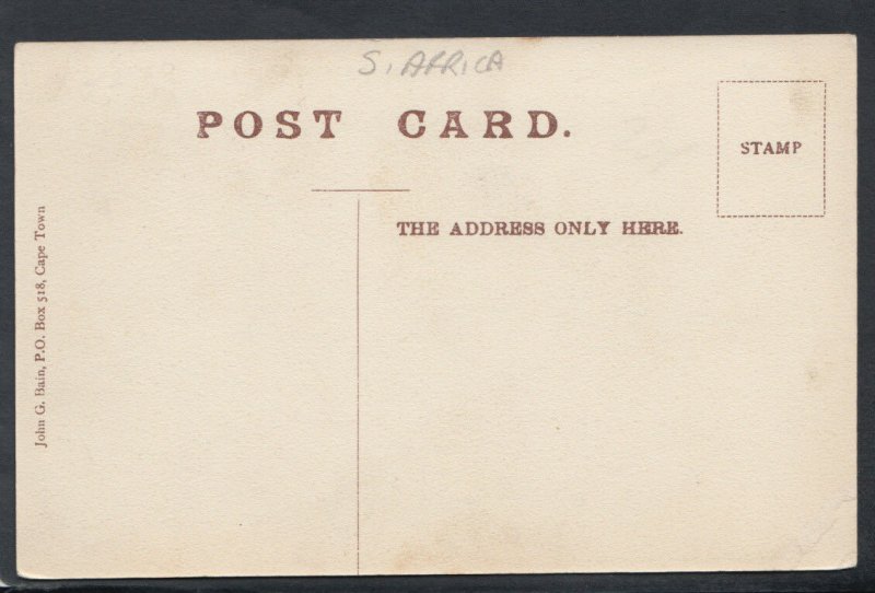 South Africa Postcard - G.P.O, Adderley Street, Cape Town T2897