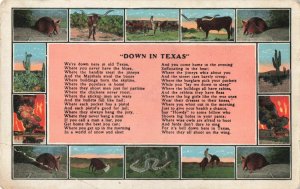 Postcard Poem Down in Texas