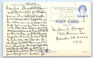 Beaver Meadow in Muskoka - CANADA Postcard