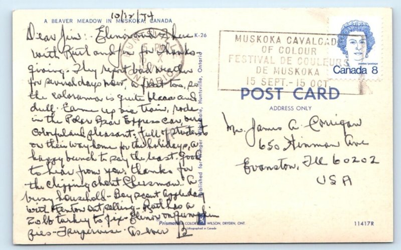 Beaver Meadow in Muskoka - CANADA Postcard