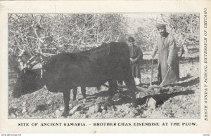 SAMARIA , Israel , 00-10s ; Farmer