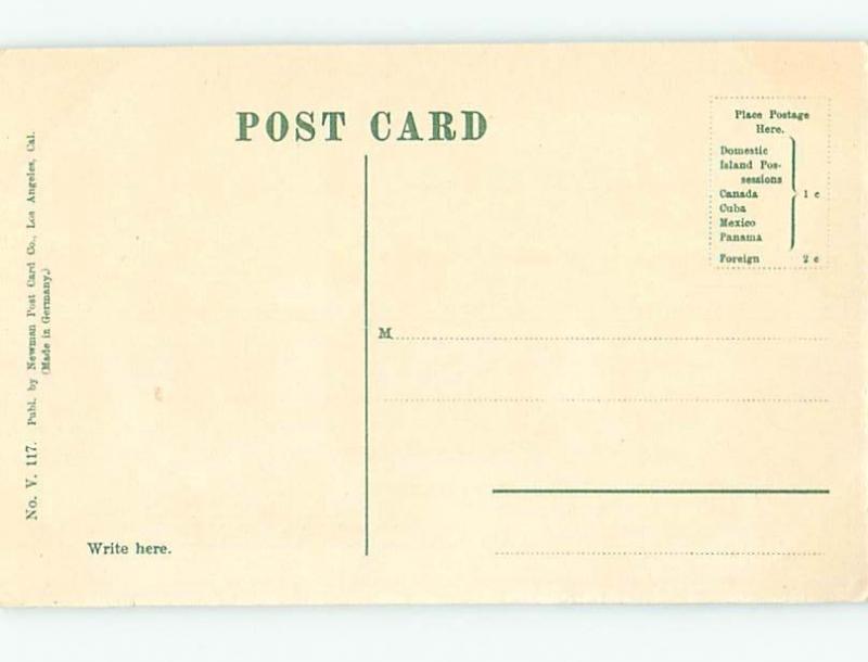 Unused Divided-Back PARK SCENE San Francisco California CA hk8831