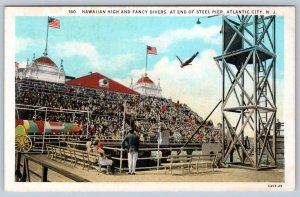1920's HAWAIIAN HIGH & FANCY DIVERS STEEL PIER ATLANTIC CITY NEW JERSEY POSTCARD
