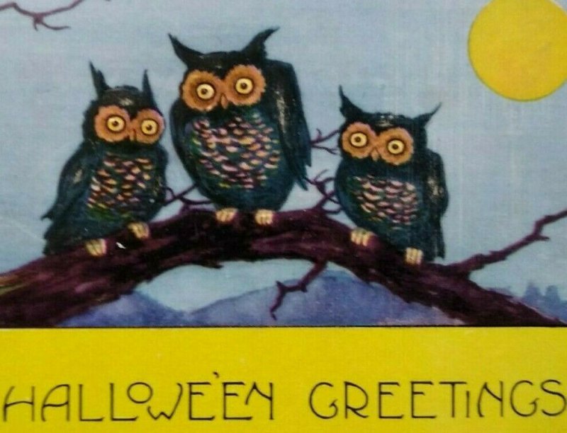 Vintage Halloween Postcard Whitney 3 Owls On Branch Original Embossed Unused