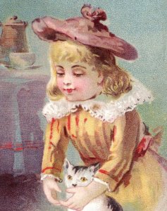 1887 Clark's Mile-End Spool Cotton Cute Girls Cat Beetle Book Toy Set Of 4 P158