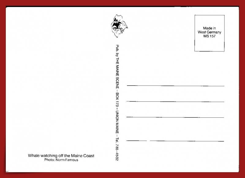 Maine - Whale Watching Off The Coast - [ME-276X]