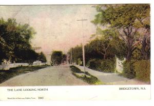 1906 - The Lane Looking North, Bridgetown, N.S. Warwick