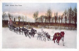 ALASKA 1940s Postcard Musher and Sled Dog Team