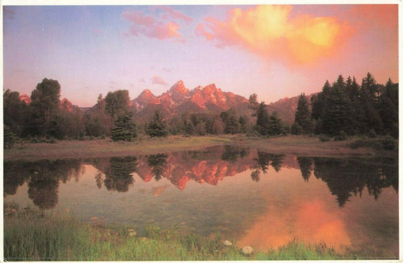 Postcard Grand Teton National Park Wyoming