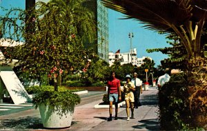 Florida Miami Beach Lincoln Road Mall 1972