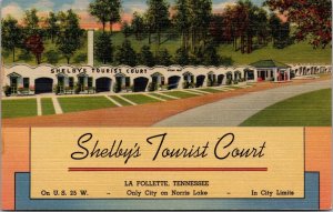 Linen Postcard Shelby's Tourist Court in La Follette, Tennessee~138472