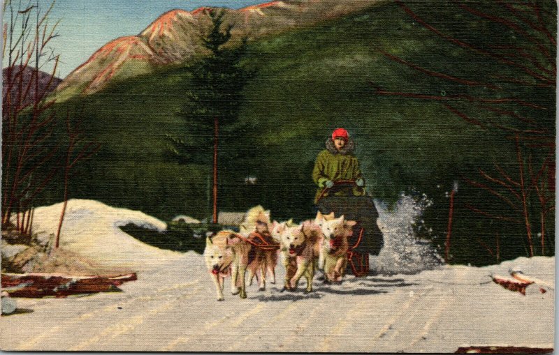 Vtg 1940s Eskimo Sled Dog Team Ed Clark Ranch North Woodstock NH Linen Postcard