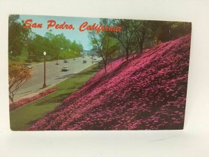 San Pedro California Postcard Leland Park Street Scene Cars