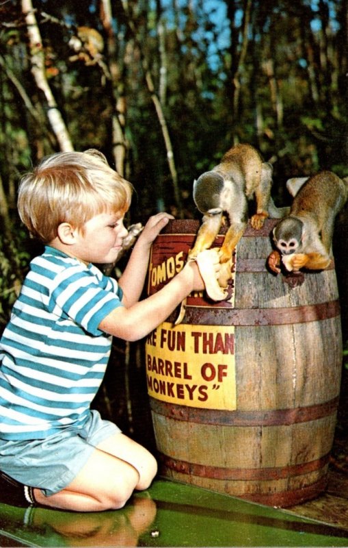 Florida Homosassa Springs U S 19 More Fun That A Barrel Of Monkeys