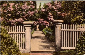 Entrance to Garden the Hermitage Nashville TN Hand Colored Vintage Postcard H53