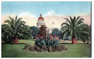 New State Capitol Sacramento CA Mitchell Postcard