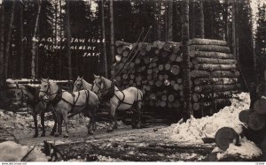 RP; PRINCE ALBERT, Saskatchewan, 1900-10s; A Load of Saw Logs