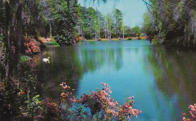 Alabama Mobile Bellingrath Gardens Beautiful Mirror Lake