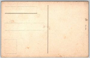 Luzern Lucerne Switzerland c1910 Postcard Lowendenkmal Lion Monument