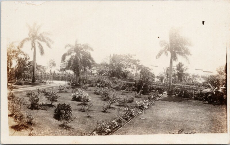 Palm Trees Belize British Governor of Belize Governor's House ?? RP Postcard F52