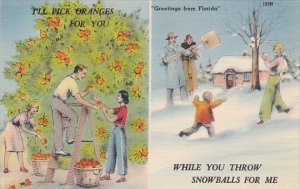 Florida Humour I'll Pick Oranges While You Throw Snowballs Greetings Fro...