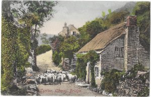 Herding Sheep Lynton Cherry Bridge c1904 Devonshire England UK