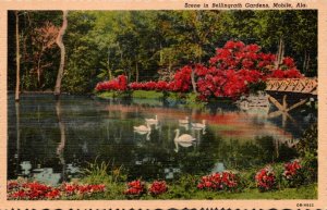 Alabama Mobile Scene In Bellingrath Gardens Curteich