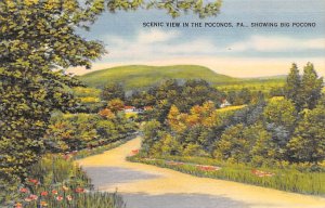Poconos, showing Big Pocono Pocono Mountains, Pennsylvania PA s 