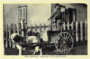 A Boy and His Dog Cart Gaspe Quebac Canada