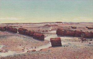 Arizona Petrified Forest Logs In Third Forest