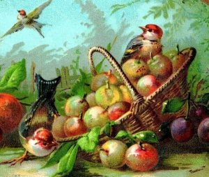 1880's Embossed Christmas Gilt Victorian Card Basket Fruit Wild Birds P153