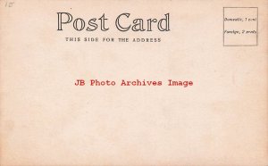 Black Americana, RPPC, Man Driving Oxen Drawn Cart on Dirt Road, Photo