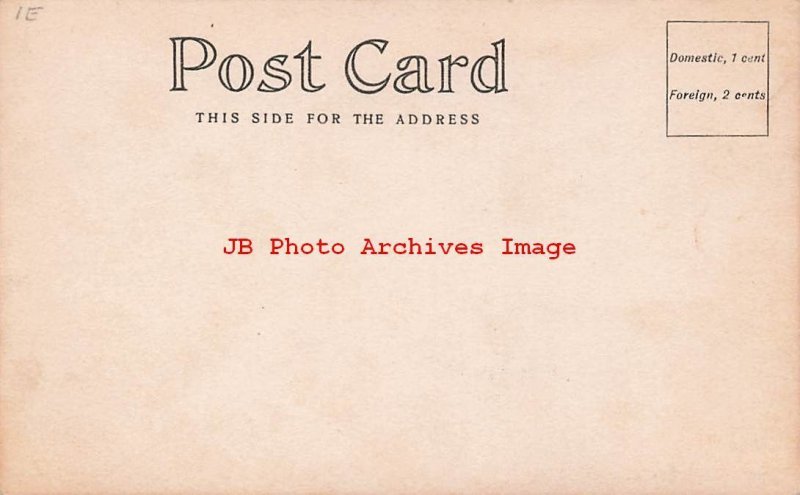 Black Americana, RPPC, Man Driving Oxen Drawn Cart on Dirt Road, Photo