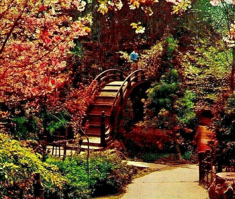 Japanese Tea Garden Golden Gate Park San Francisco CA California Chrome Postcard