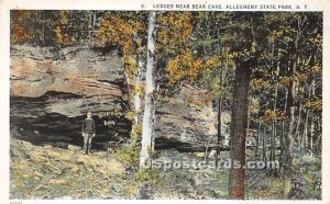 Ledges, Bear Cave - Allegheny State Park, New York NY  