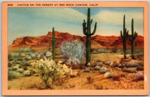 California CA, 1948 Cactus on The Desert at Red Rock Canyon, Vintage Postcard