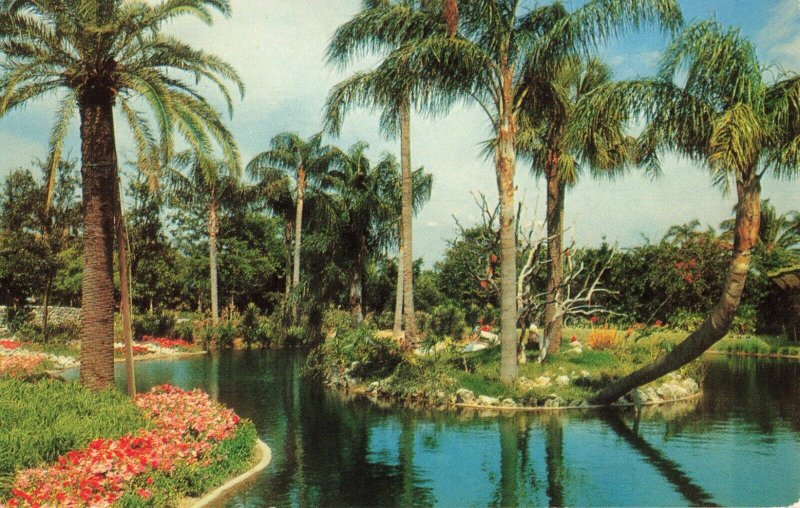 Postcard Busch Gardens Tampa Florida 