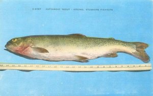 Cutthroat Trout With Tape Measure, Strong, Stubborn Fighter Linen Postcard  