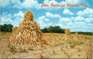 Corn Fields At Harvest Time American Scenic Midwest Chrome Postcard 