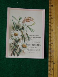 1870s-80 Lister Brothers Pure Animal Bone Fertilizers Victorian Trade Card F14