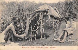 Boys Catching White Ant Hill Uganda Postcard
