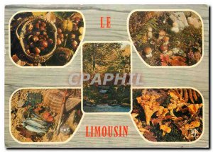 Postcard Modern Limousin