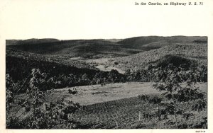 Vintage Postcard Real Photo In The Ozarks On Highway US 71 S&S News RPPC