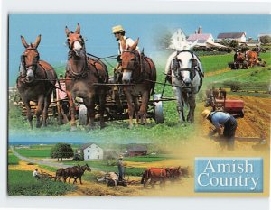 Postcard Tractors Amish Country Pennsylvania USA