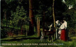 Feeding The Deer Bever Park Cedar Rapids Iowa IA UNP 1910s DB Postcard