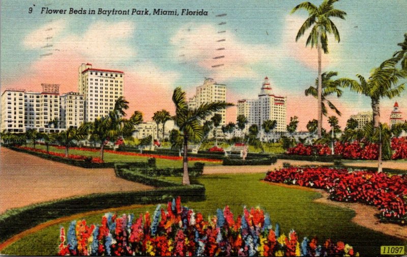 Florida Miami Flower Beds In Bayfront Park 1946