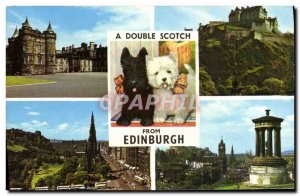 Modern Postcard From A Double Scotch Edinburgh Dogs